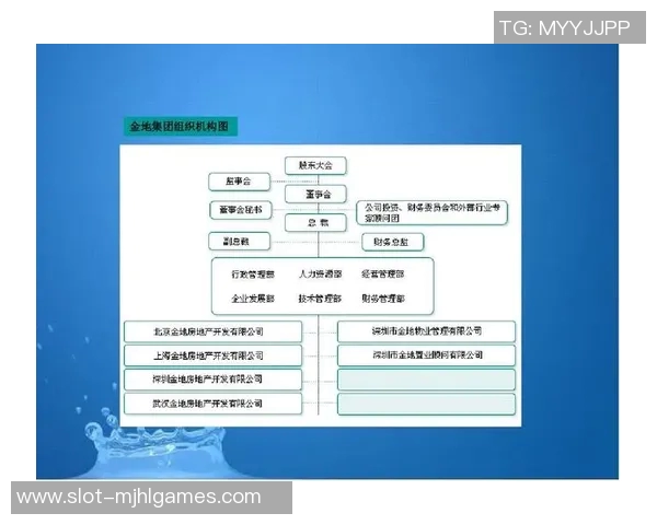 深入解析S15电竞总决赛RNG战术运营体系及其成功秘诀